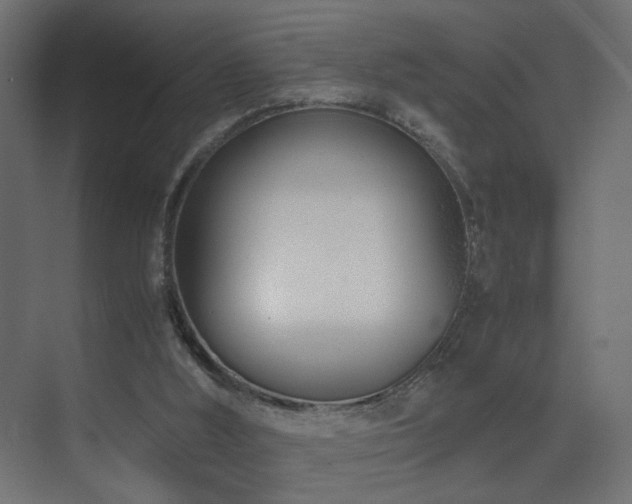 X0000075330012200609081109