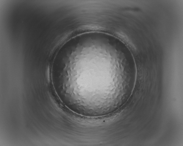 X0000075330014200609081109