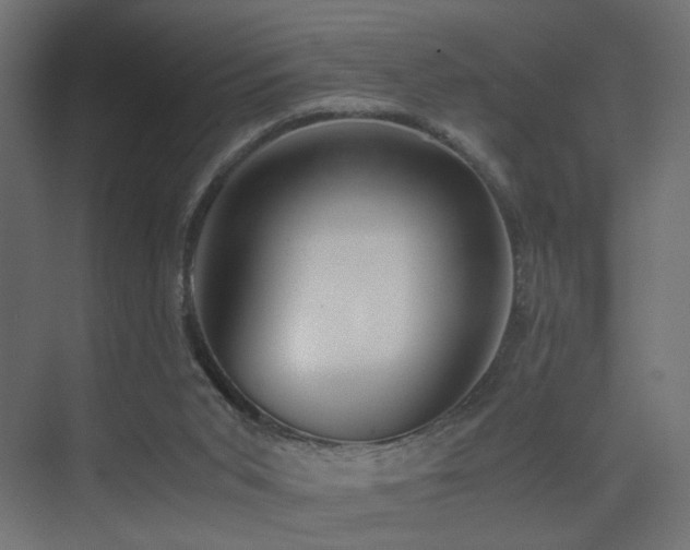 X0000075330015200609081109
