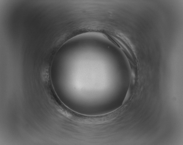 X0000075330017200609081109