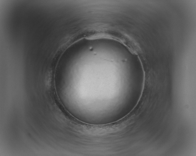 X0000075330018200609081109