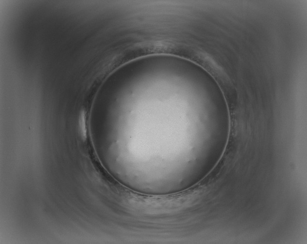 X0000075330022200609081109