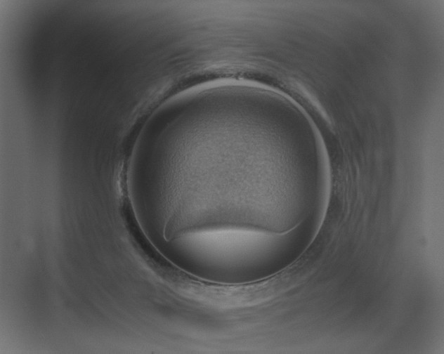 X0000075330023200609081109