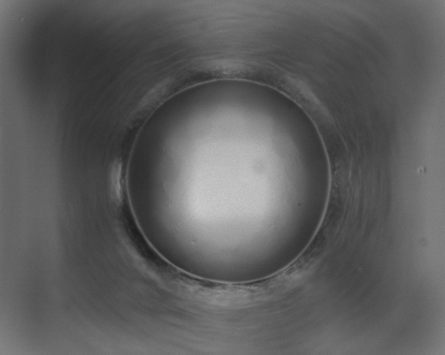 X0000075330024200609081109