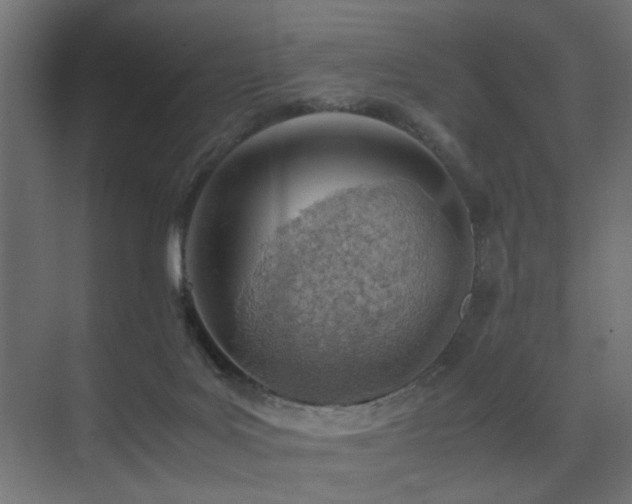 X0000075330027200609081109