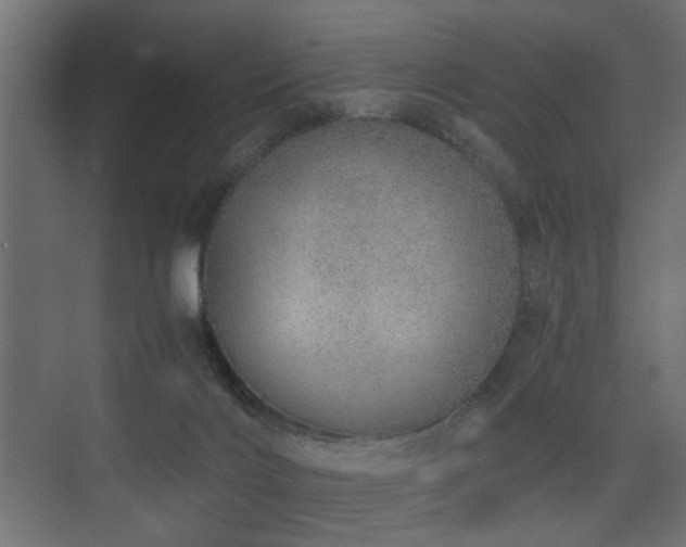 X0000075330028200609081109