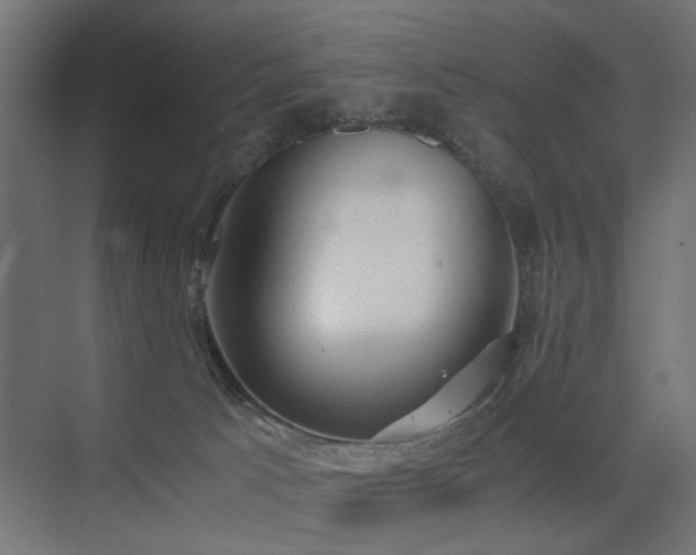 X0000075330033200609081109