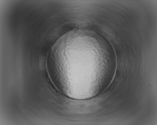 X0000075330034200609081109