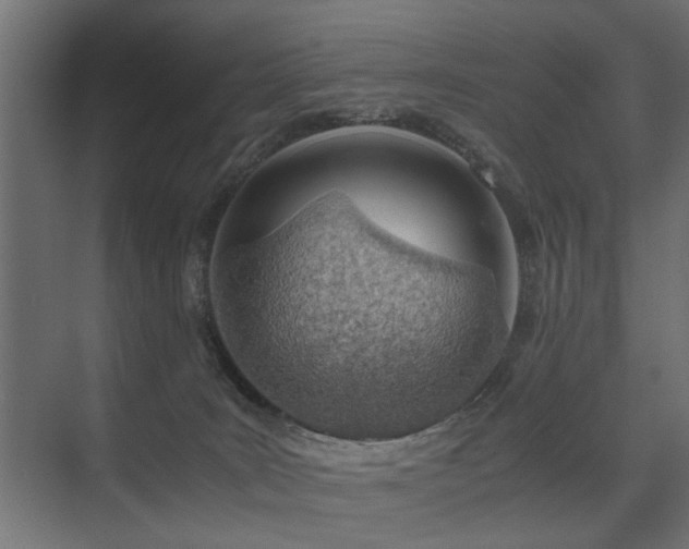X0000075330035200609081109