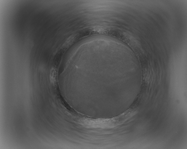 X0000075330036200609081109