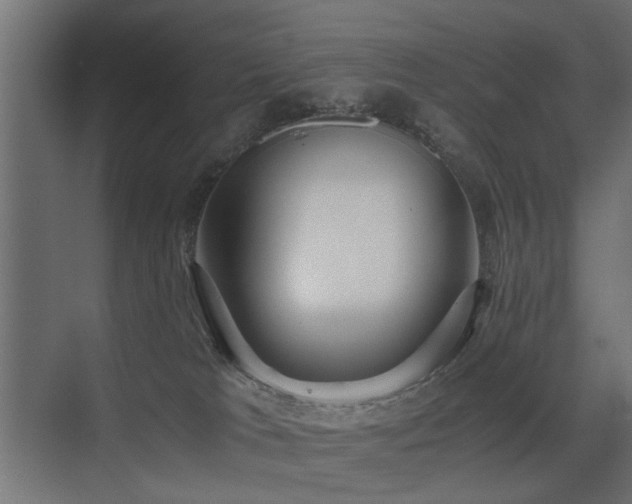 X0000075330037200609081109