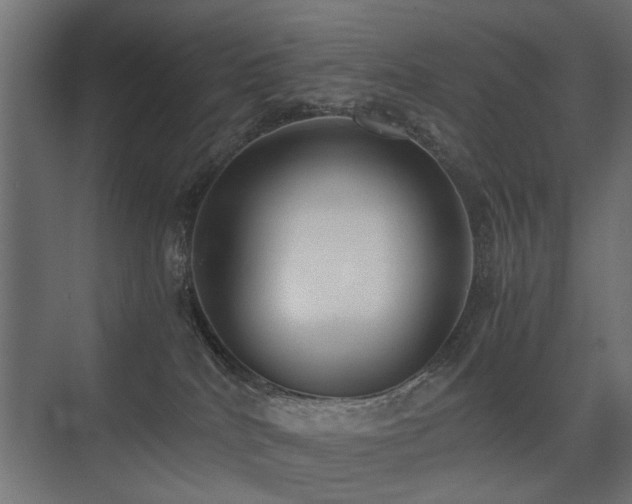 X0000075330040200609081109