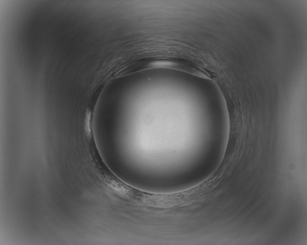 X0000075330041200609081109