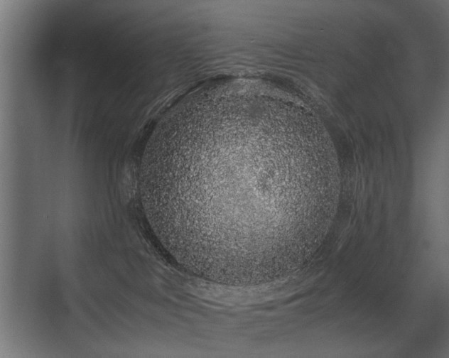 X0000075330043200609081109