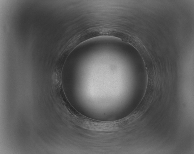 X0000075330044200609081109