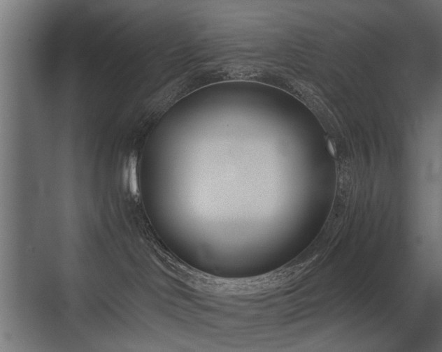 X0000075330046200609081109