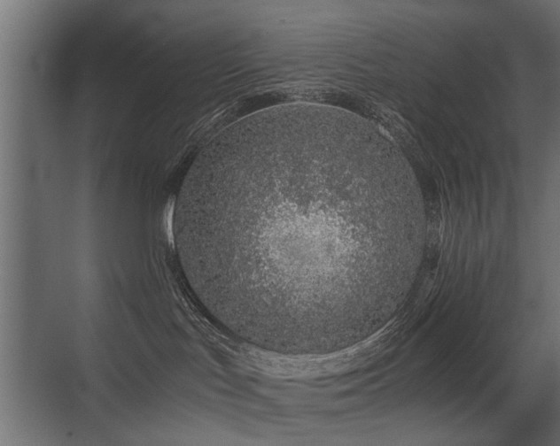 X0000075330047200609081109