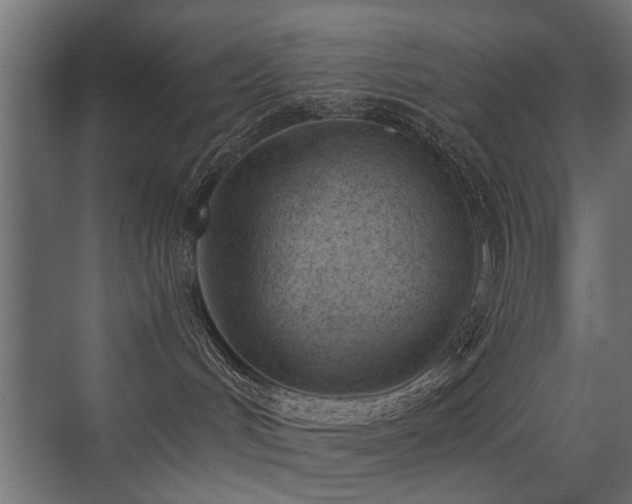 X0000075330048200609081109