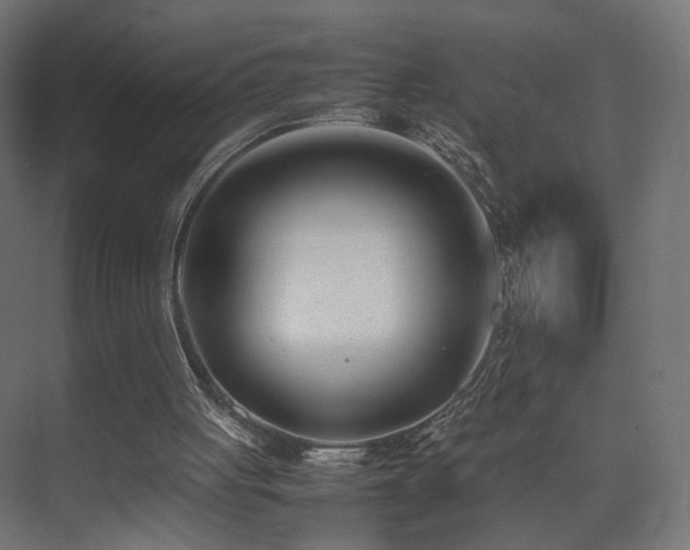 X0000075330051200609081108