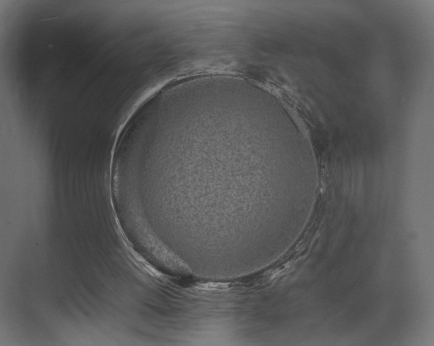 X0000075330052200609081108