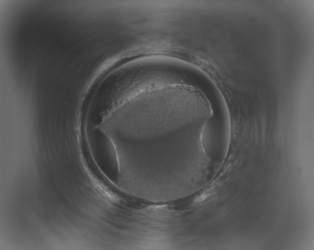 X0000075330054200609081108