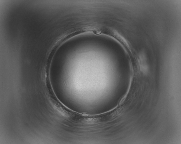 X0000075330059200609081108