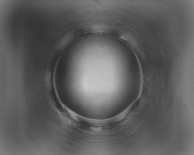 X0000075330066200609081108