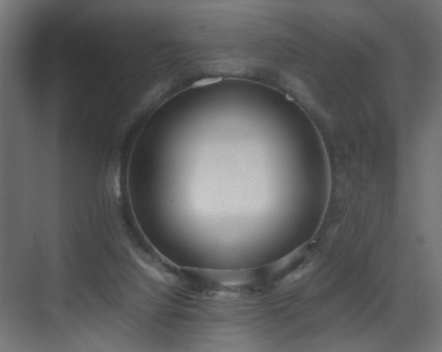 X0000075330068200609081108