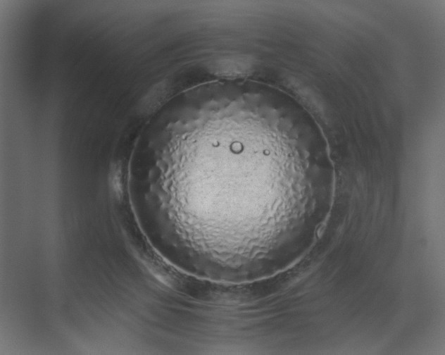 X0000075330069200609081108