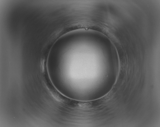 X0000075330070200609081108