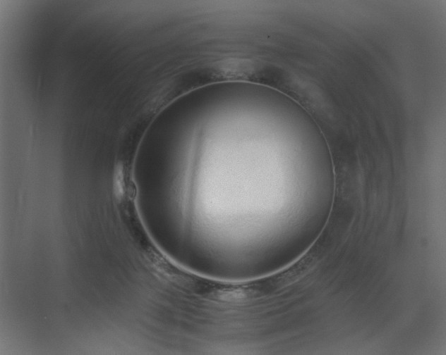 X0000075330075200609081108