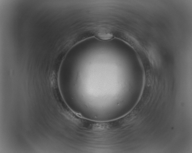 X0000075330077200609081108