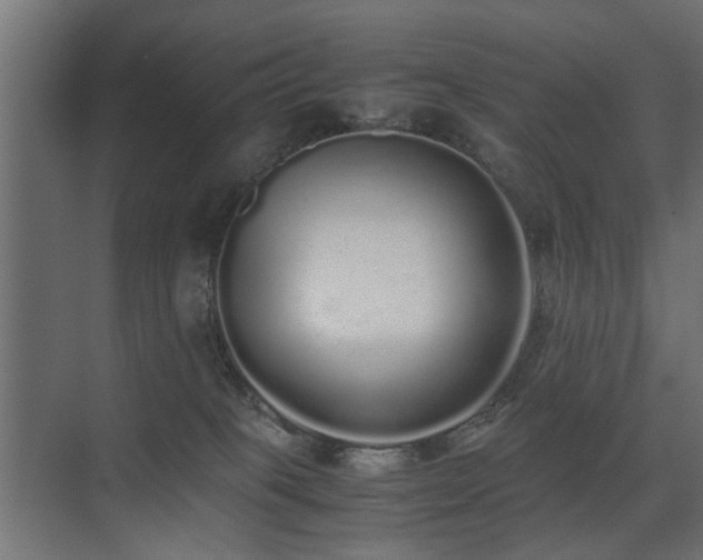 X0000075330085200609081109