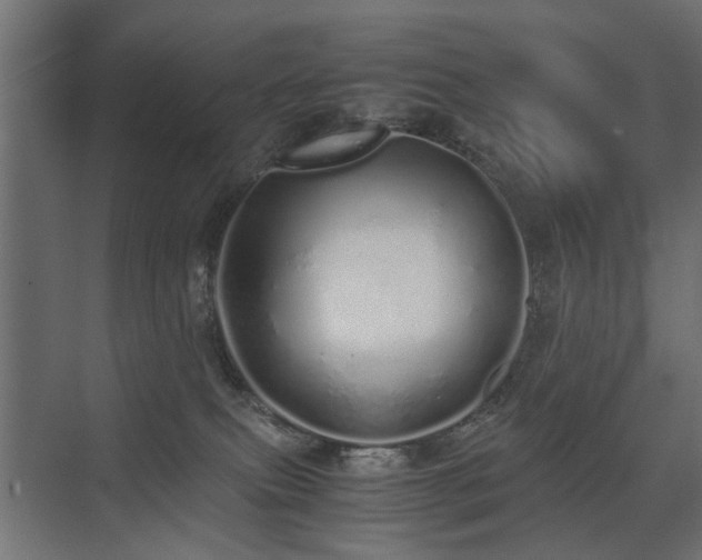 X0000075330087200609081109