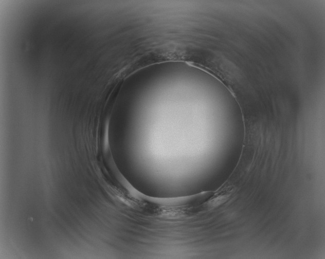 X0000075330088200609081109