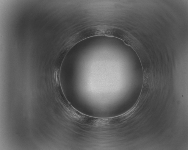 X0000075330094200609081109