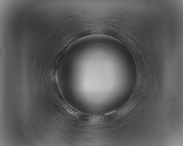X0000075330096200609081109