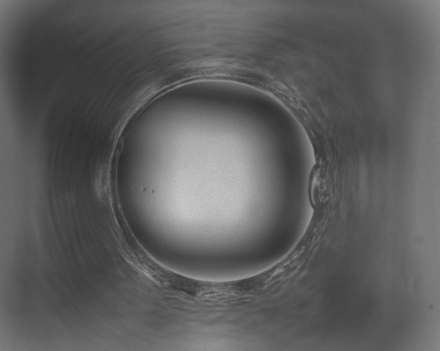 X0000075330099200609081108