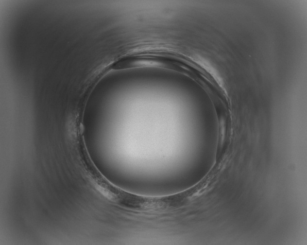 X0000075330105200609081108