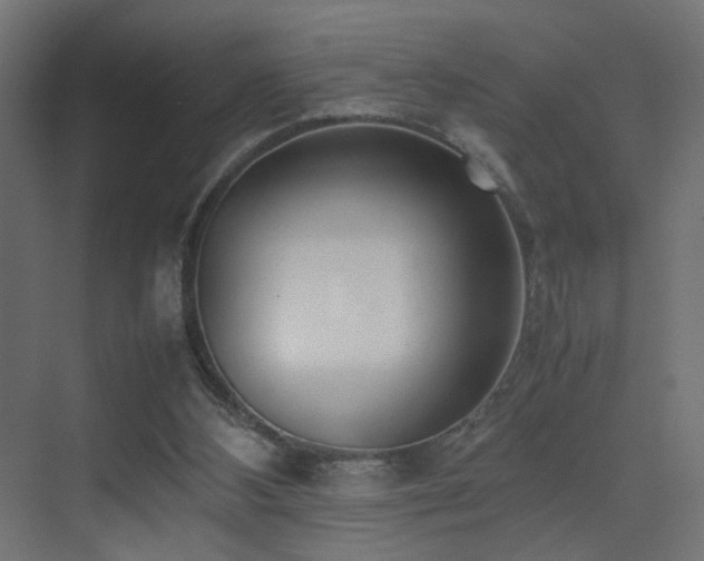 X0000075330108200609081108