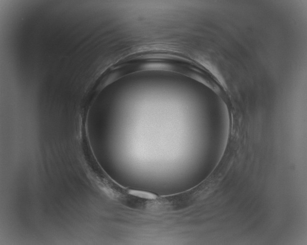 X0000075330109200609081108