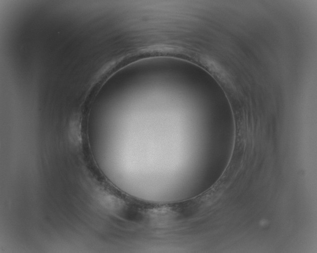 X0000075330112200609081108
