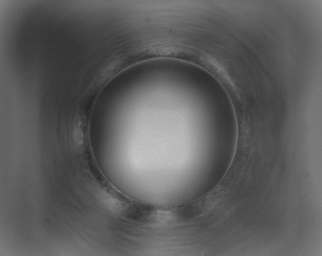 X0000075330114200609081108