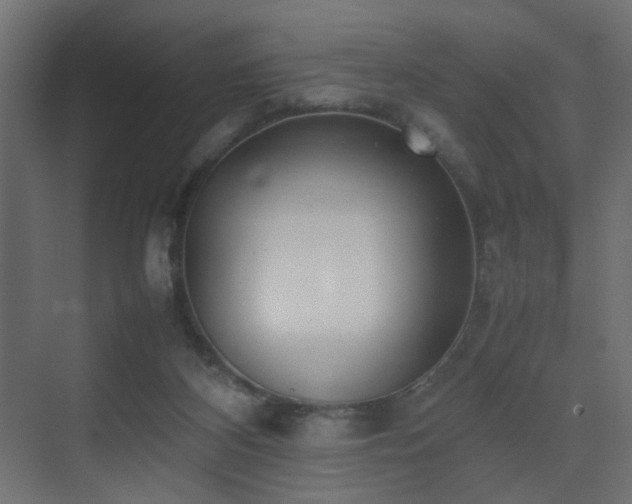 X0000075330116200609081108