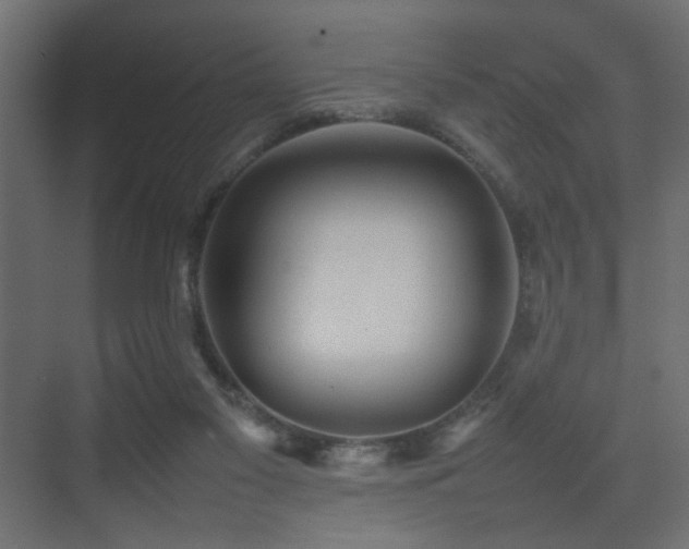 X0000075330117200609081108