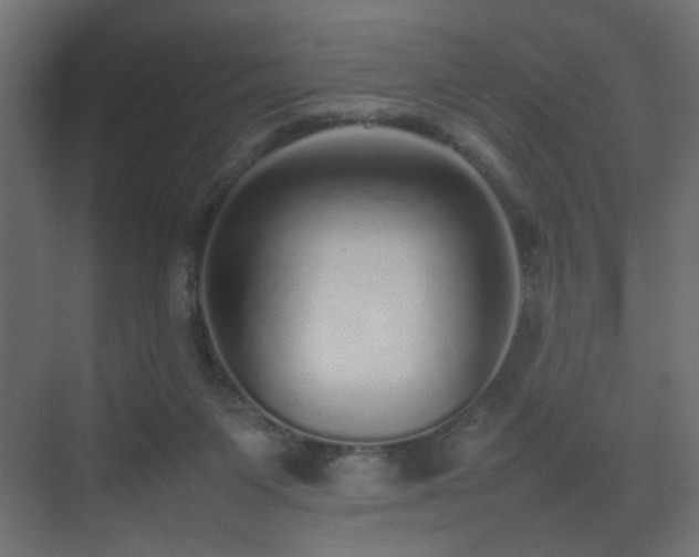 X0000075330119200609081108