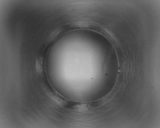 X0000075330120200609081108