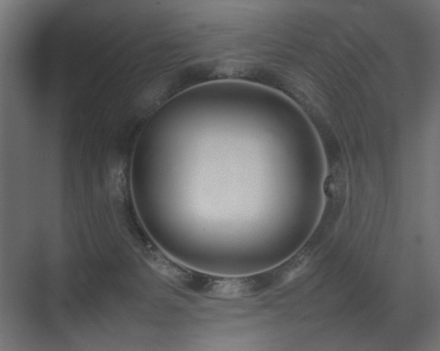X0000075330127200609081107