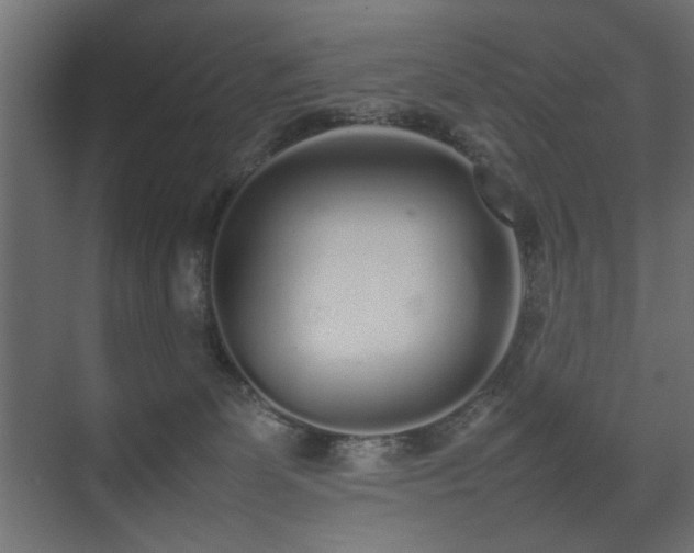 X0000075330131200609081107