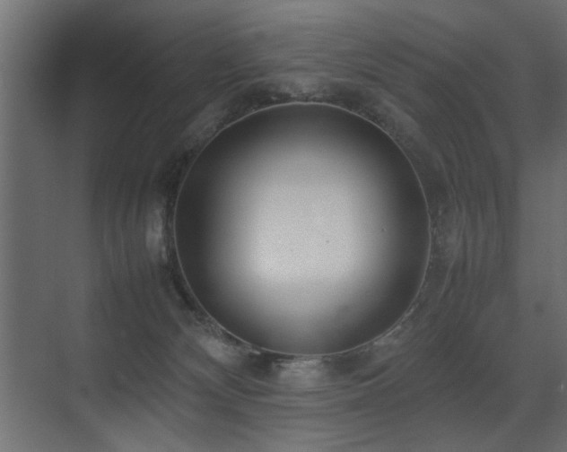 X0000075330132200609081107